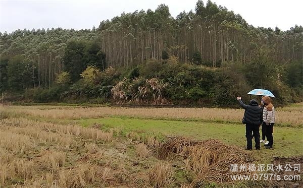 中卫市陈老师带着爱徒寻龙点穴