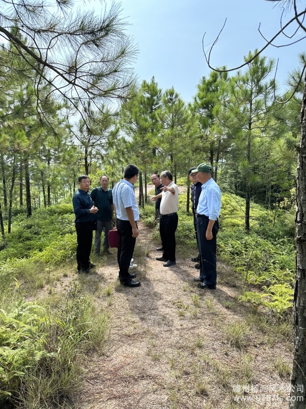 中卫市学杨公风水跟陈荣昌老师实在